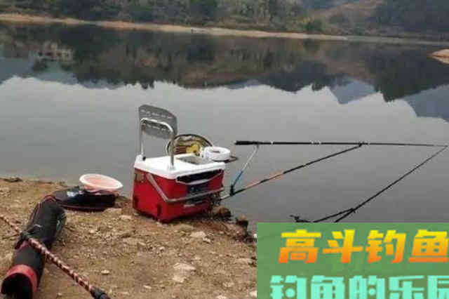 冬天冷，你确定大板鲫不上钩？用这3招搞定