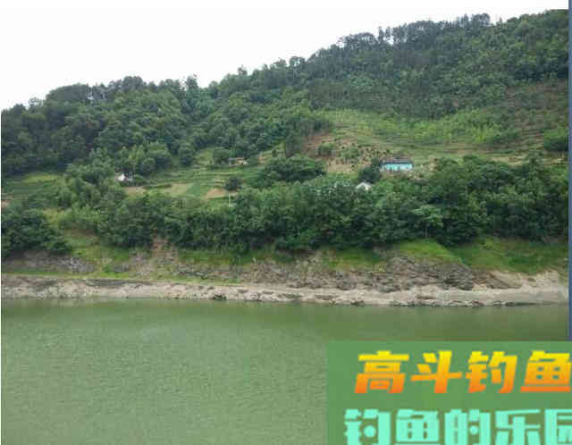 春末野钓，不仅要挑好钓点，更要知道三钓两不钓
