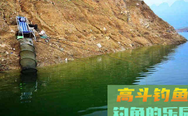 秋钓想要好鱼获，首先得弄明白，什么才是秋钓荫