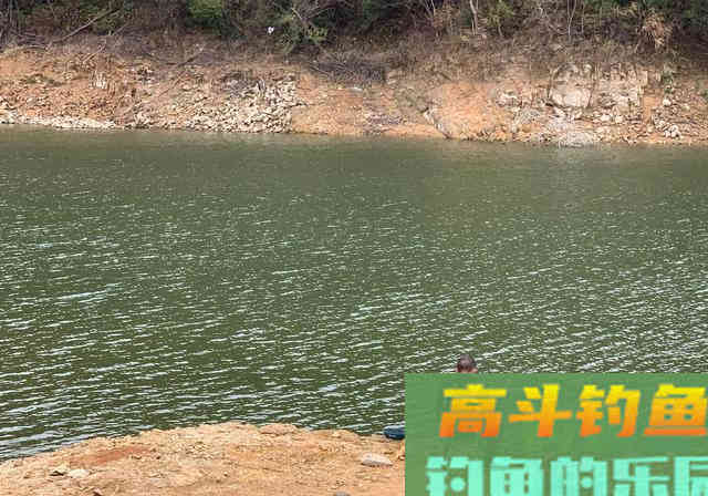 连日“空军”得出经验，这个3月鱼到底该怎么钓