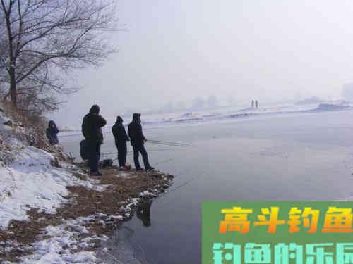 别再说冬钓就要钓深了，除了深水，还有几个钓点