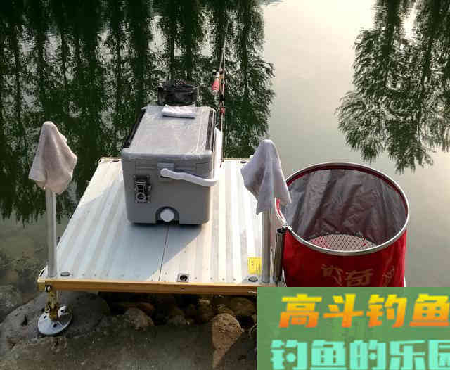 四季钓鱼有法则？傻，鱼不知道秋冬会降温