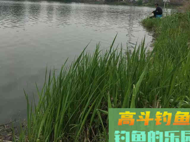 春季什么天气好钓鱼？了解天气和鱼情的关系