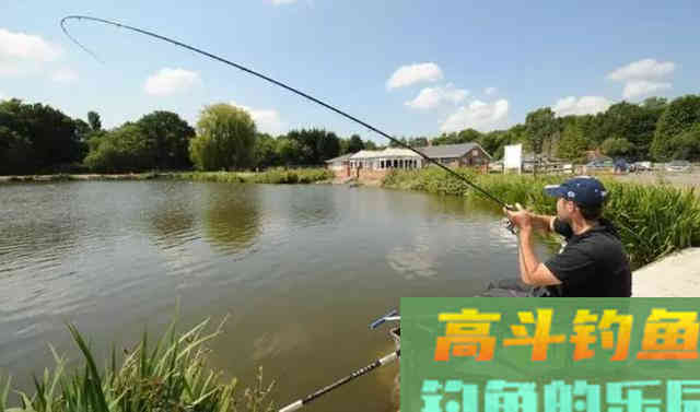 秋季退水后，不解决这个问题，一天都很难钓到鱼