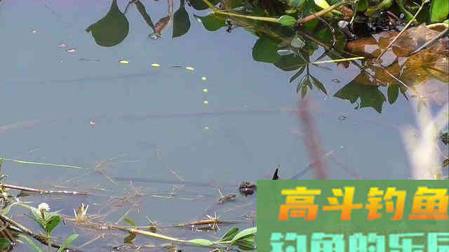 冬天钓鱼好天气容易走空？只是钓位和方法不合适