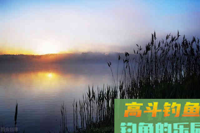 立秋过后怎么钓鱼