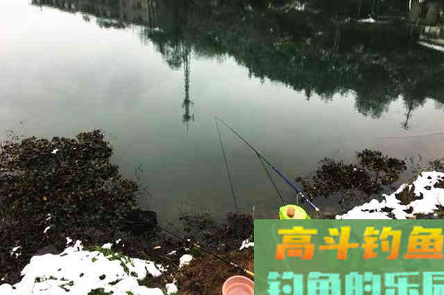冬季钓鱼，除了深水区，这几个区域也藏鱼
