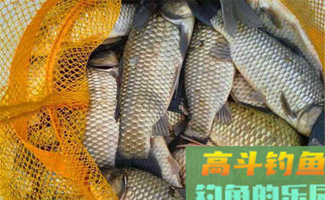冬季钓鱼，比任何季节都重时机