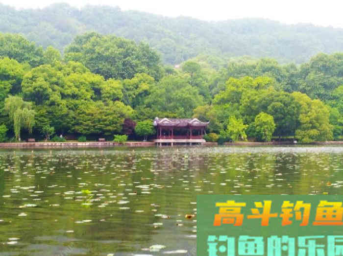 夏季最佳出钓时间、选择钓位，与钓技和饵料方面的解答