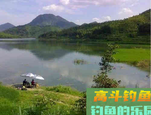 夏天钓鱼做不到灵活变通，就不要再抱怨渔获少了