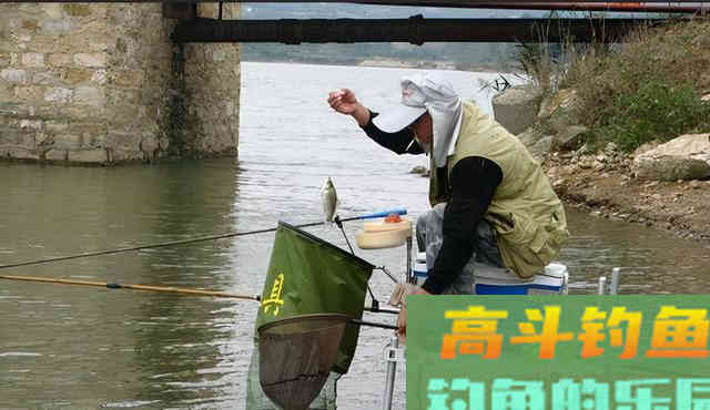秋冬钓不到鱼，不要怪饵料，要从这两方面找原因