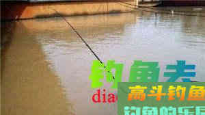 汛期已至，还不赶快趁着浑水钓鱼？注意这3点