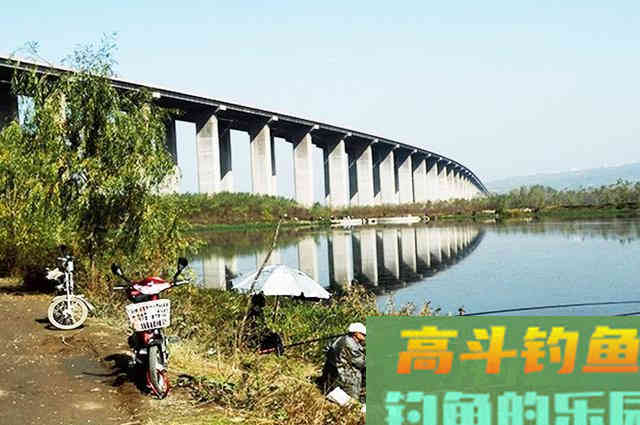 立秋后钓鱼，别人连杆我空军，问题出在哪