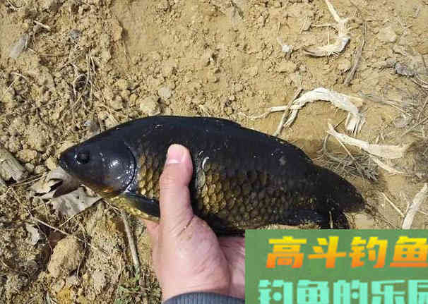 春末野钓，不仅要挑好钓点，更要知道三钓两不钓