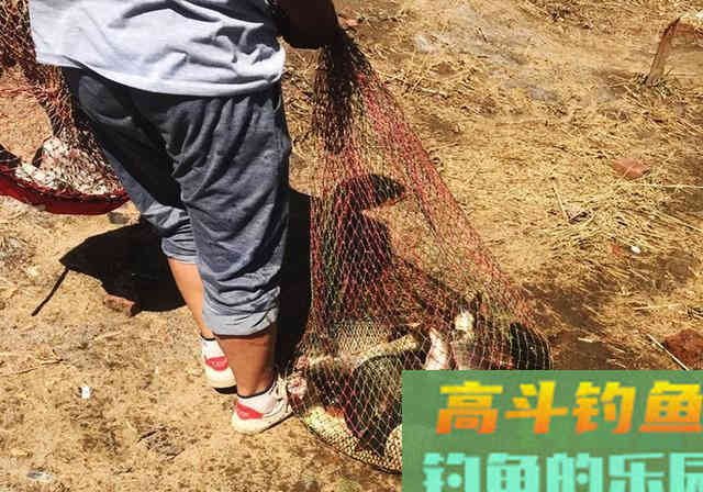 春季钓鱼诀窍分享，钓友要牢记，渔获超过别人很容易