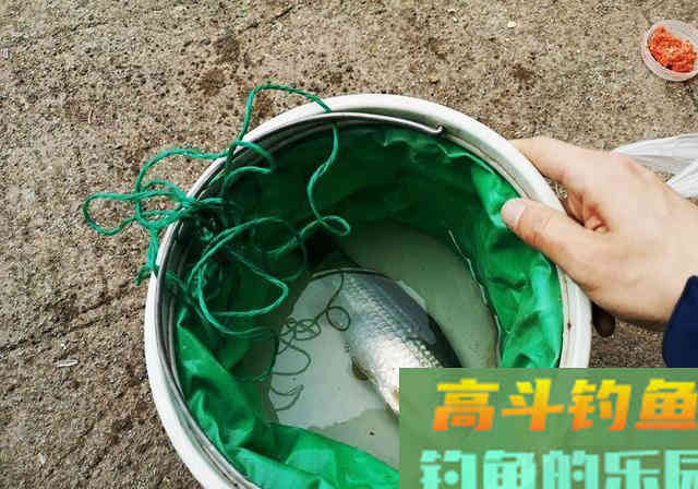 春季钓鱼，参考这5条实战经验，钓鱼就这么容易