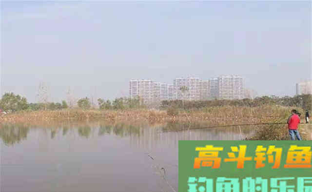 冬钓6字要诀：冬季常“空军”不要怪天冷