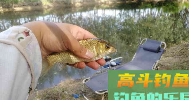 夏季钓鱼时，遇到这几种情况，果断采用离底钓
