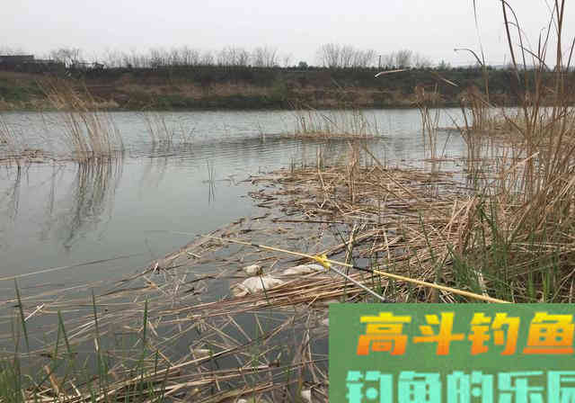 冬钓用多长的竿最合适，想要钓到大个体的鱼都有哪些技巧