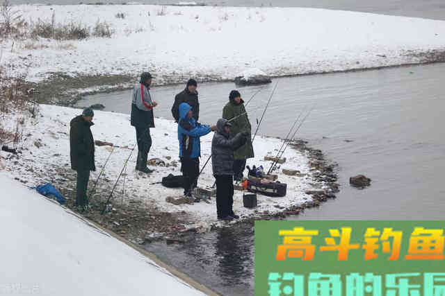 冬天有阳光的天气就好钓鱼？未必！不考虑这2种因素，高手也无奈