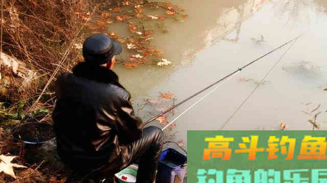 秋冬钓鱼选鱼线，并不是越细越好