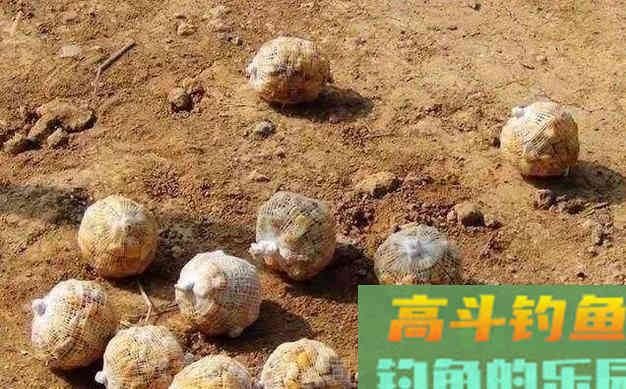钓深水，尤其是夏钓深水，还真不是个简单的事