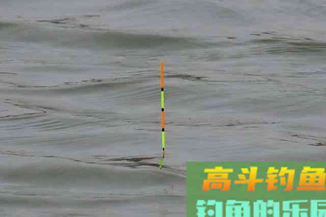两类截口四种漂相，漂动就提，冬季钓大棚，想不上岸都难