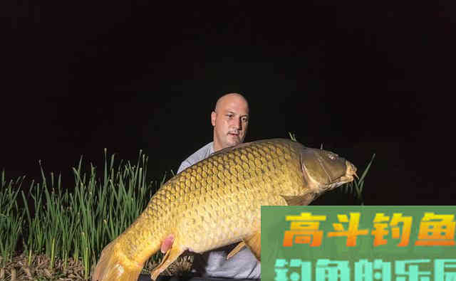 夏季夜钓鱼口虽好，不要忽视安全问题，安全是第一