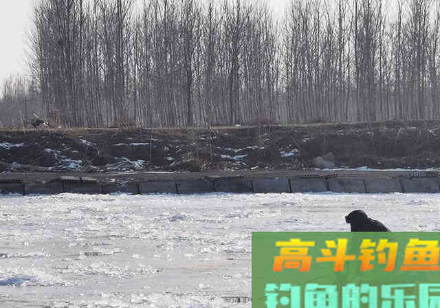 冬季钓鱼，不想剃光头，要搞懂这3点