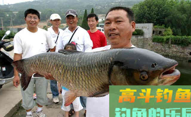 秋季你钓不到鱼，多半是这两点没做好
