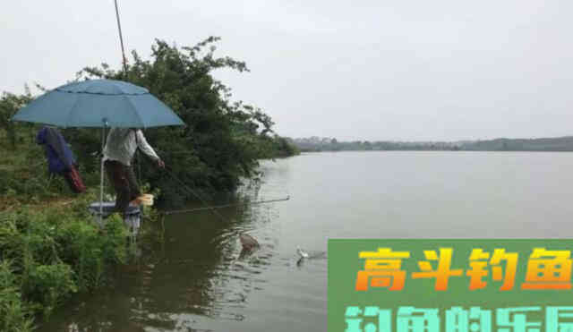 夏季降雨增多，河流涨水后该如何垂钓