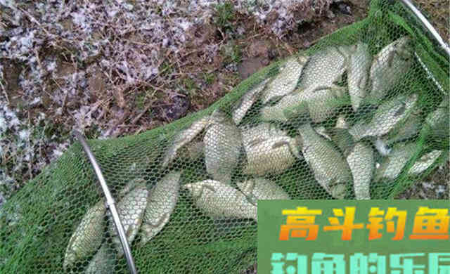 冬季钓鱼，气温越低越是要找这4种位置