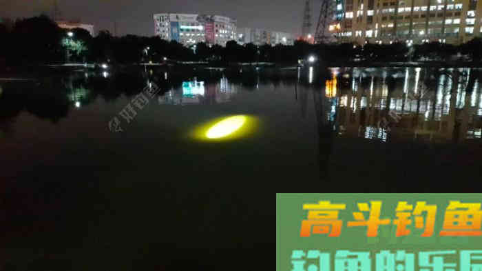 详谈冬季黑坑钓鲫鱼，成就坑冠之路