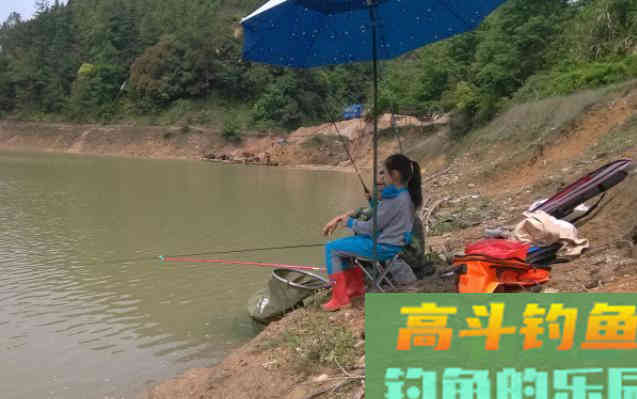 秋季钓鱼，钓浅还是钓深？选对了才能爆护