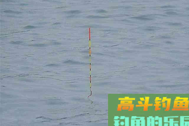两类截口四种漂相，漂动就提，冬季钓大棚，想不上岸都难