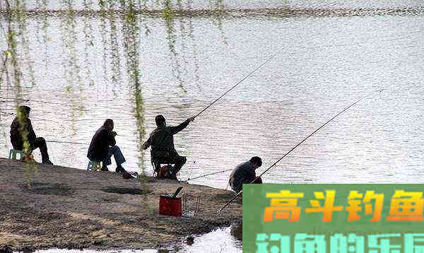 立春出钓想要有渔获，不仅看气温，还要看水深