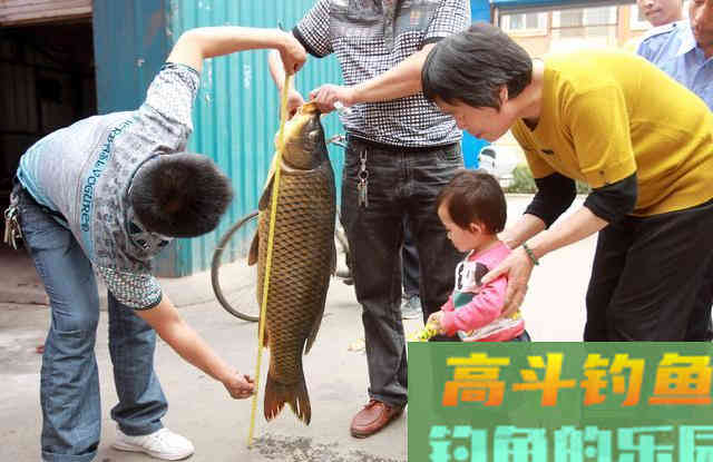 立秋后连续高温天气，自然水域退水鱼难钓