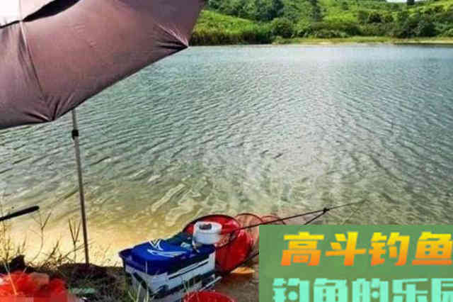 立秋后，不是鱼不好钓，只因你没找到这3个藏鱼之地