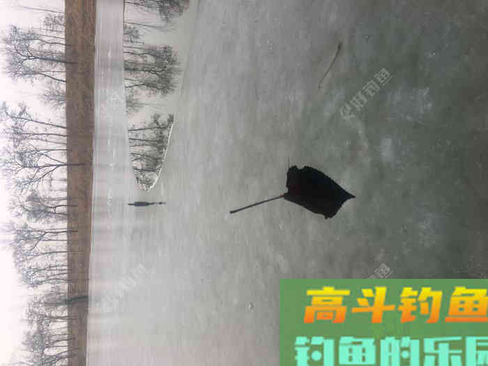 年假隔天钓，鱼获节节高--疫期冬钓总结超长篇