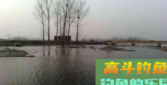 夏季关于钓深浅问题，不要过于纠结，参考这些就够了