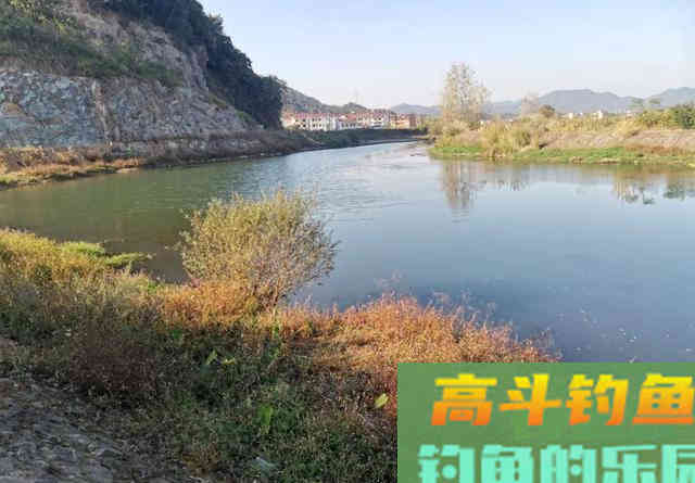 盯紧你的浮漂！冬天野钓别等黑漂，小信号也能中鱼