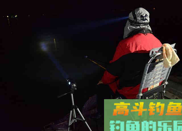 立秋后，夜钓钓深好还是钓浅好