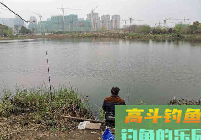 春天钓鱼别光顾着钓浅，有时候还得钓远，实践出真知