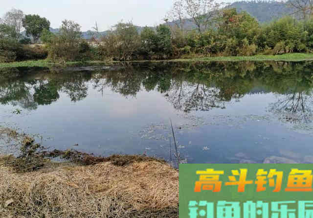 天气越冷鲫鱼咬钩越积极，只要做好这3件事