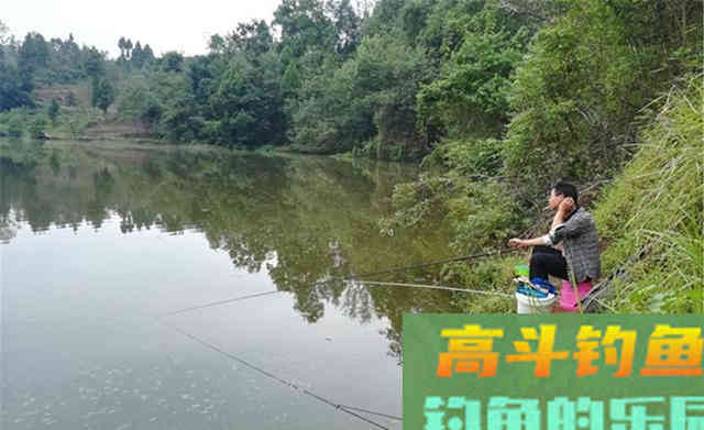 秋季钓鱼，过了处暑到了鱼好钓的第一个阶段