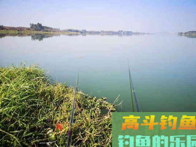 秋季退水钓鱼详解，找准方法钓的都是大鱼