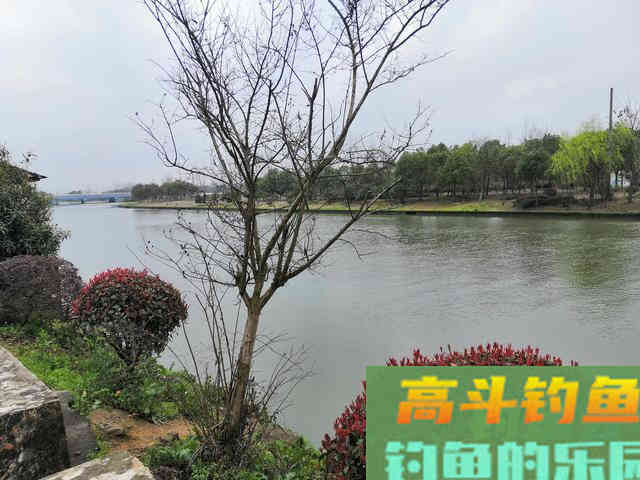 5大仲春钓鱼禁忌，稍不注意，就会辜负