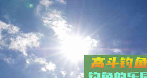辟谣：夏季钓不到鱼不是技术差，而是这3点