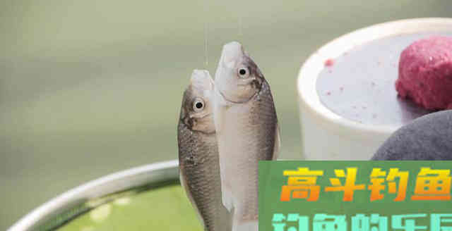 老钓手晃晃鱼竿就能钓上冬季鱼，这招咋练的？教你