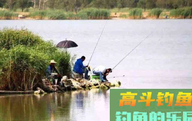 春季钓鱼，时间、钓点、饵料选择都要留意